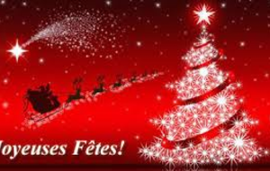JOYEUSES FÊTES !