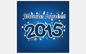 MEILLEURS VOEUX 2015 !