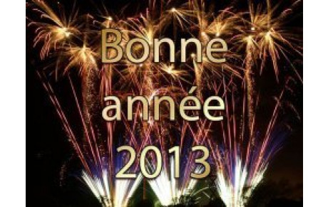 MEILLEURS VOEUX 2013