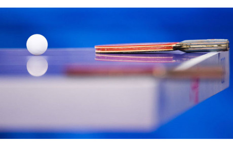 BILAN PERFORMANCES INDIVIDUELLES SAISON 2012-2013