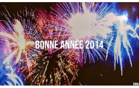 MEILLEURS VOEUX 2014 !