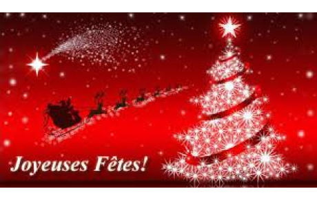 JOYEUSES FÊTES !